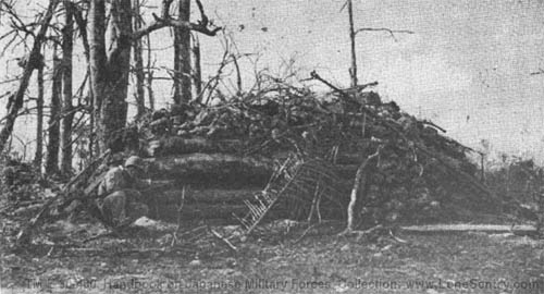 [Figure 144. A New Georgia pillbox.]